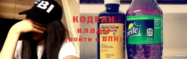 дмт Нягань